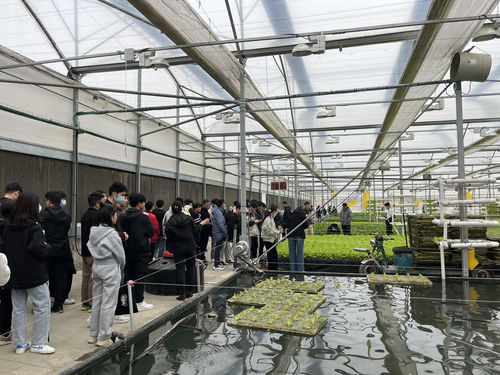 土木建筑工程學(xué)院與機(jī)電工程學(xué)院赴牧原集團(tuán)開展參觀學(xué)習(xí)活動(dòng)